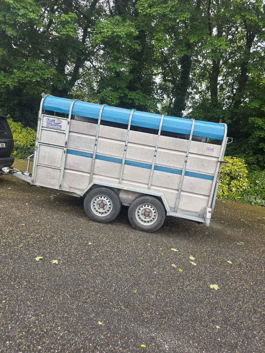 2018 12ft tuff mac cattle trailer - Image 2