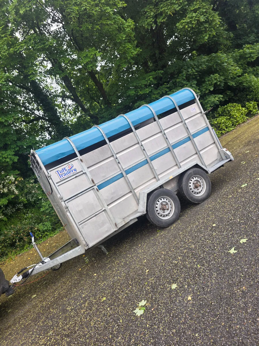 2018 12ft tuff mac cattle trailer - Image 1