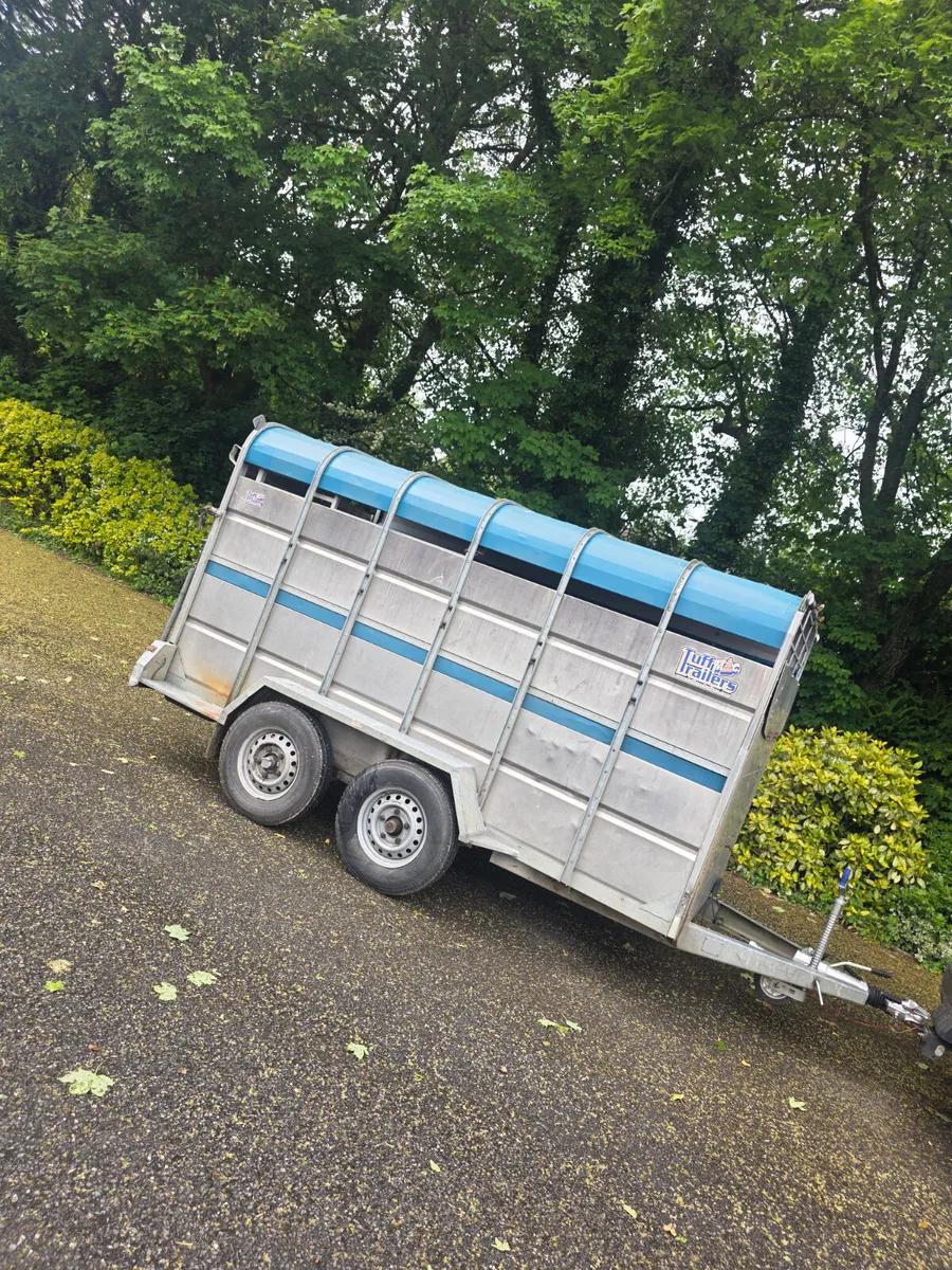 2018 12ft tuff mac cattle trailer - Image 3