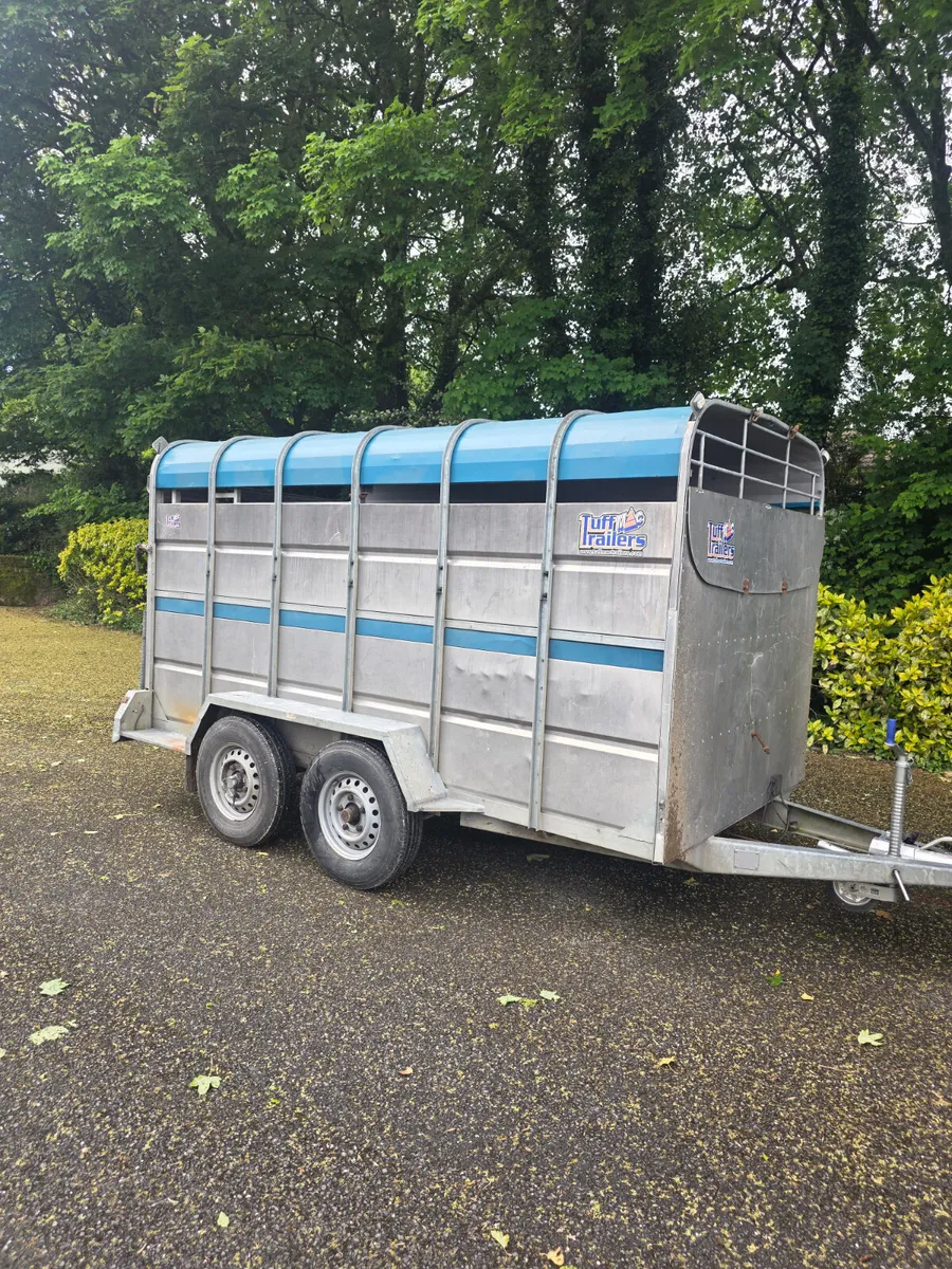 2018 12ft tuff mac cattle trailer - Image 4