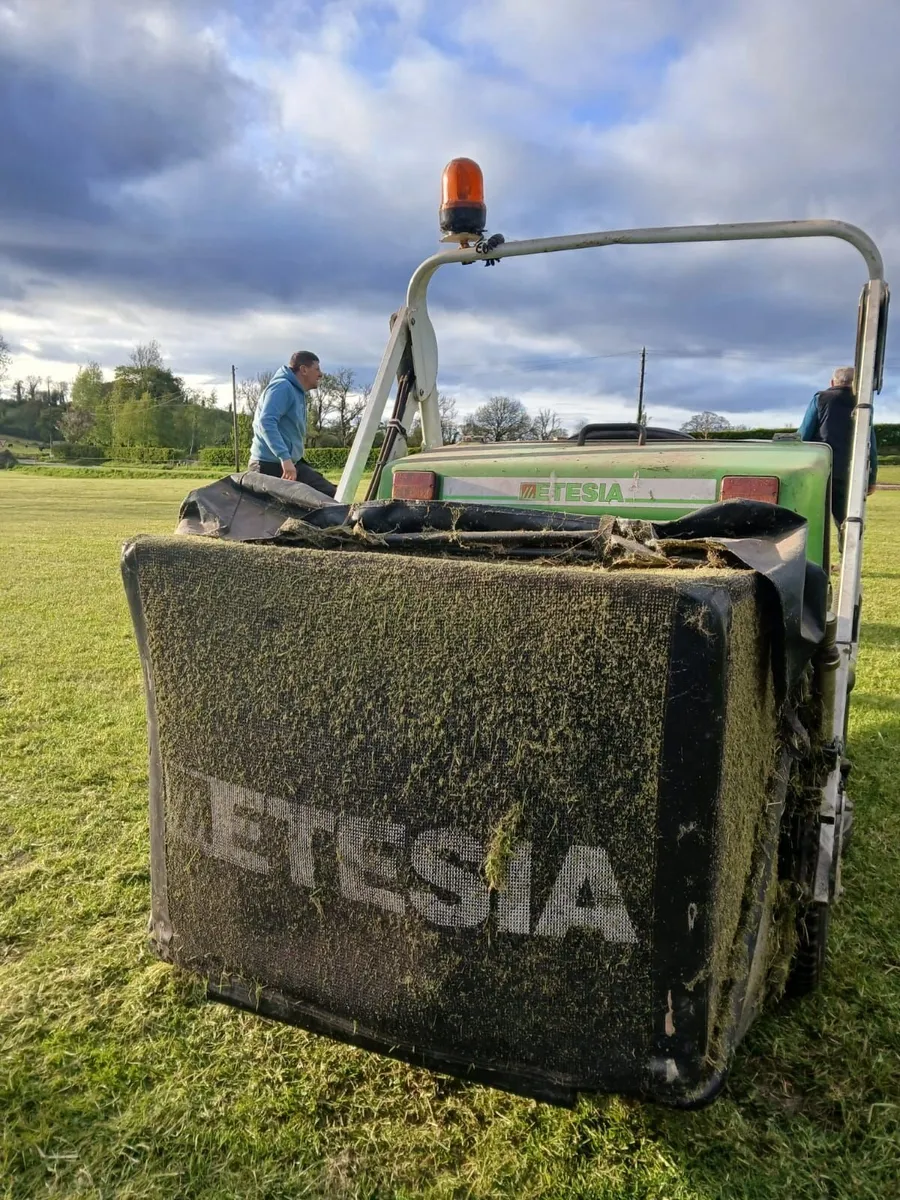 Lawnmower - Image 3