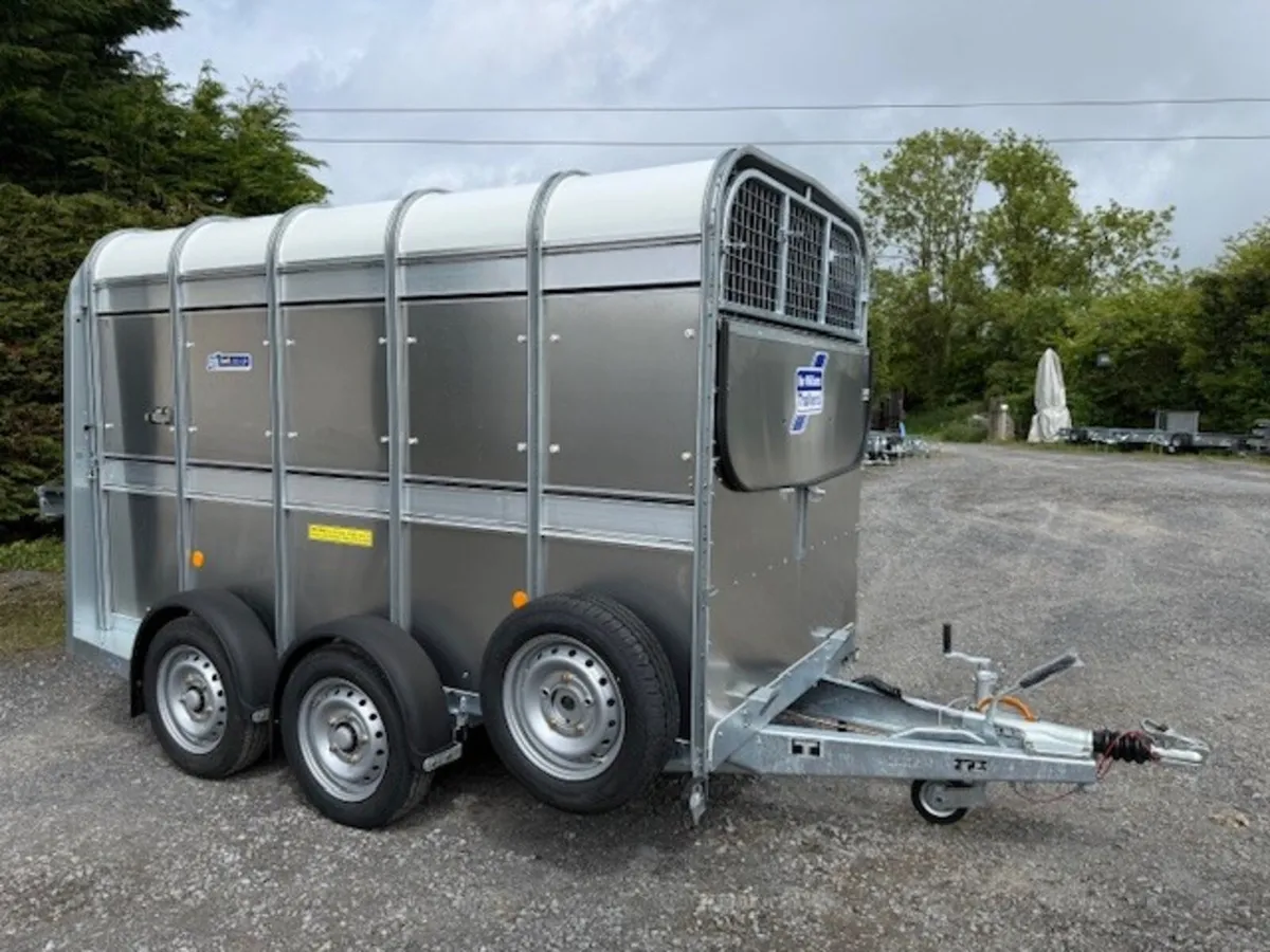 T3051851 New TA% 10' x 5' Ifor Williams xxx - Image 2