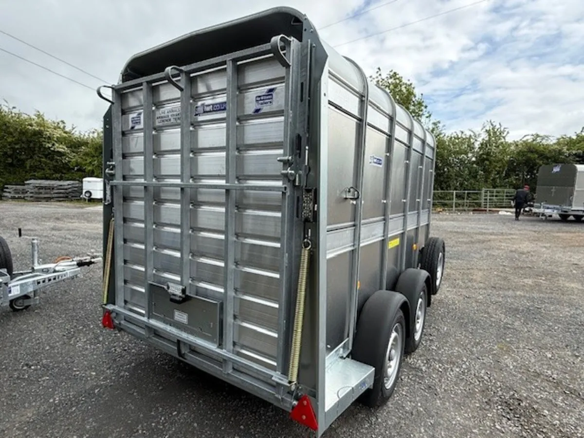 T3051851 New TA% 10' x 5' Ifor Williams xxx - Image 3