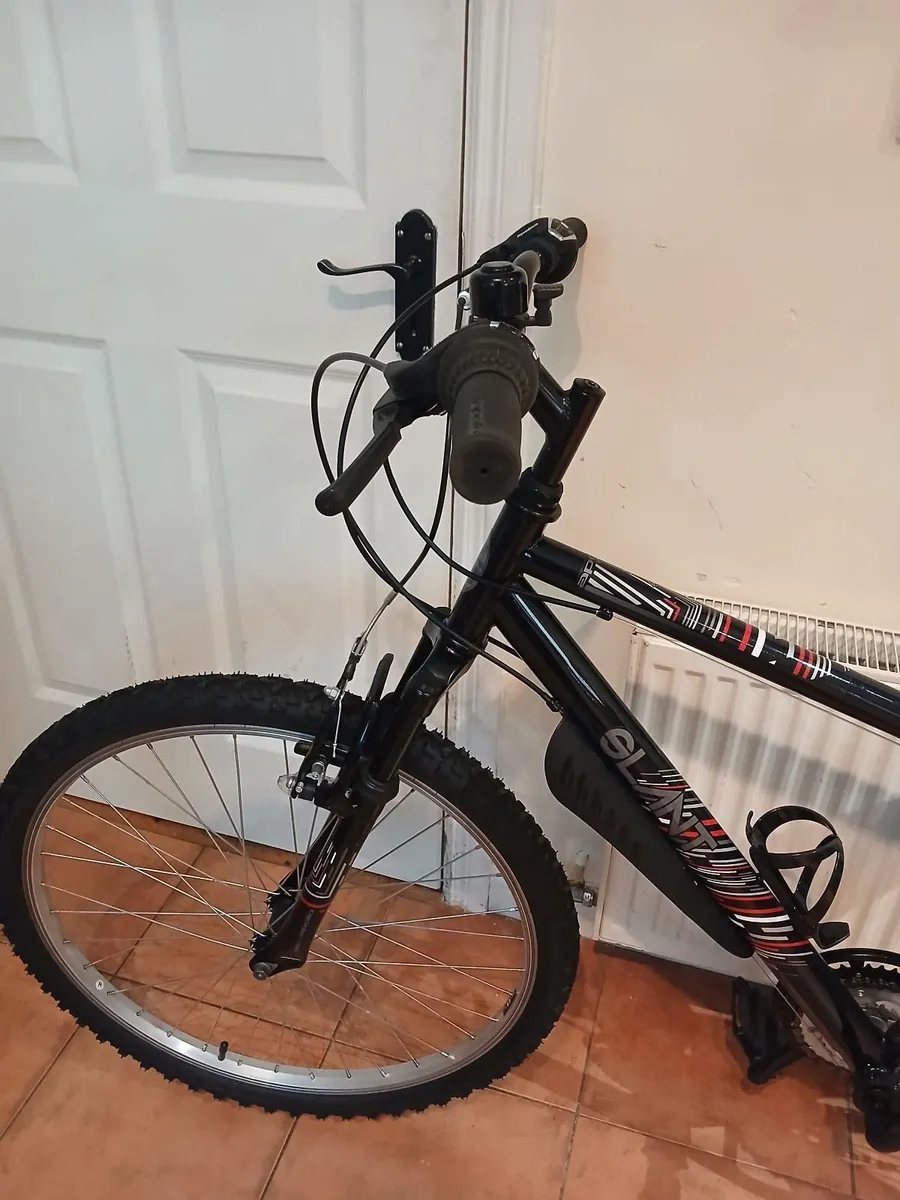 Bicycle - Image 4