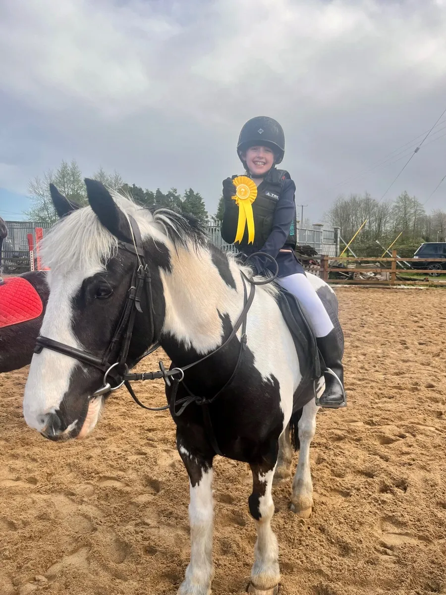 Pony Wanted for Loan - Image 1