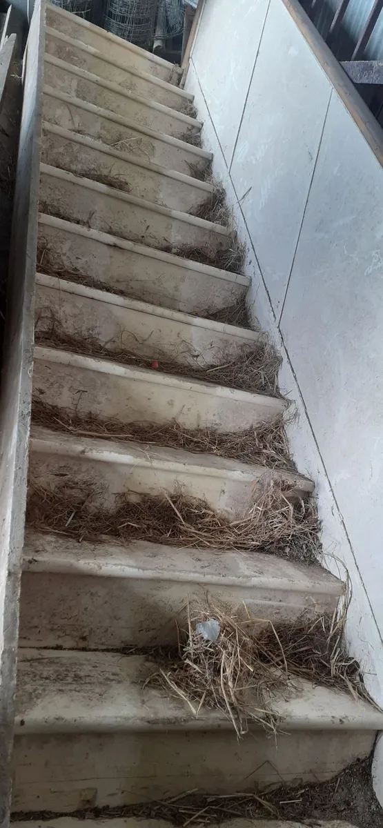 Free stairs - Image 2
