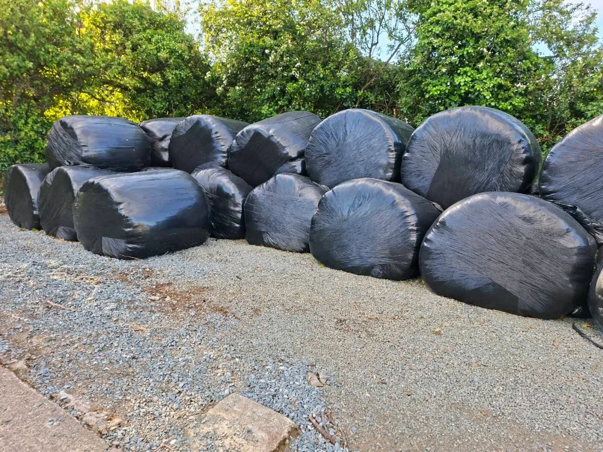 Silage