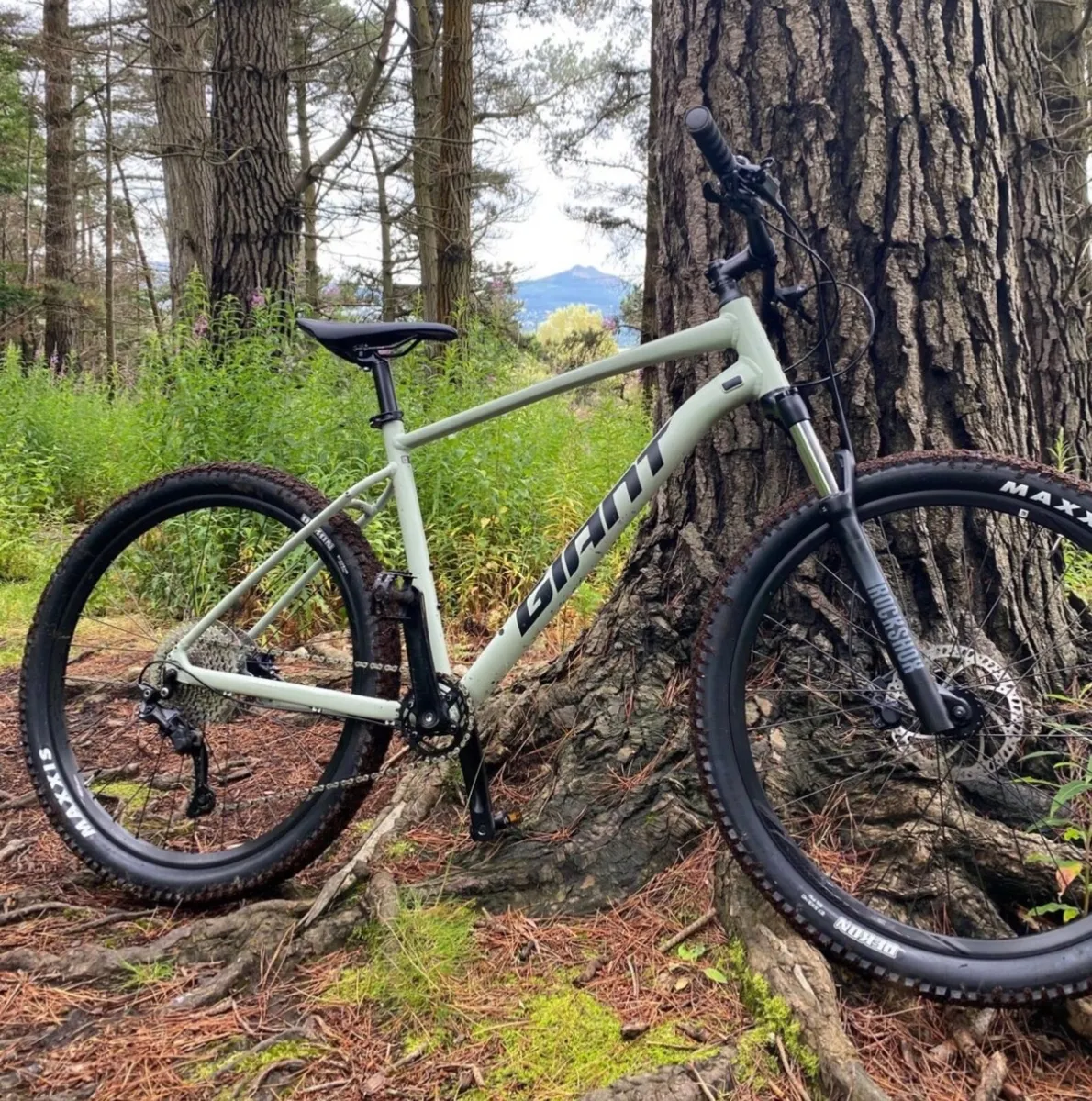 Giant Talon 1 Mountain Bike - Image 1