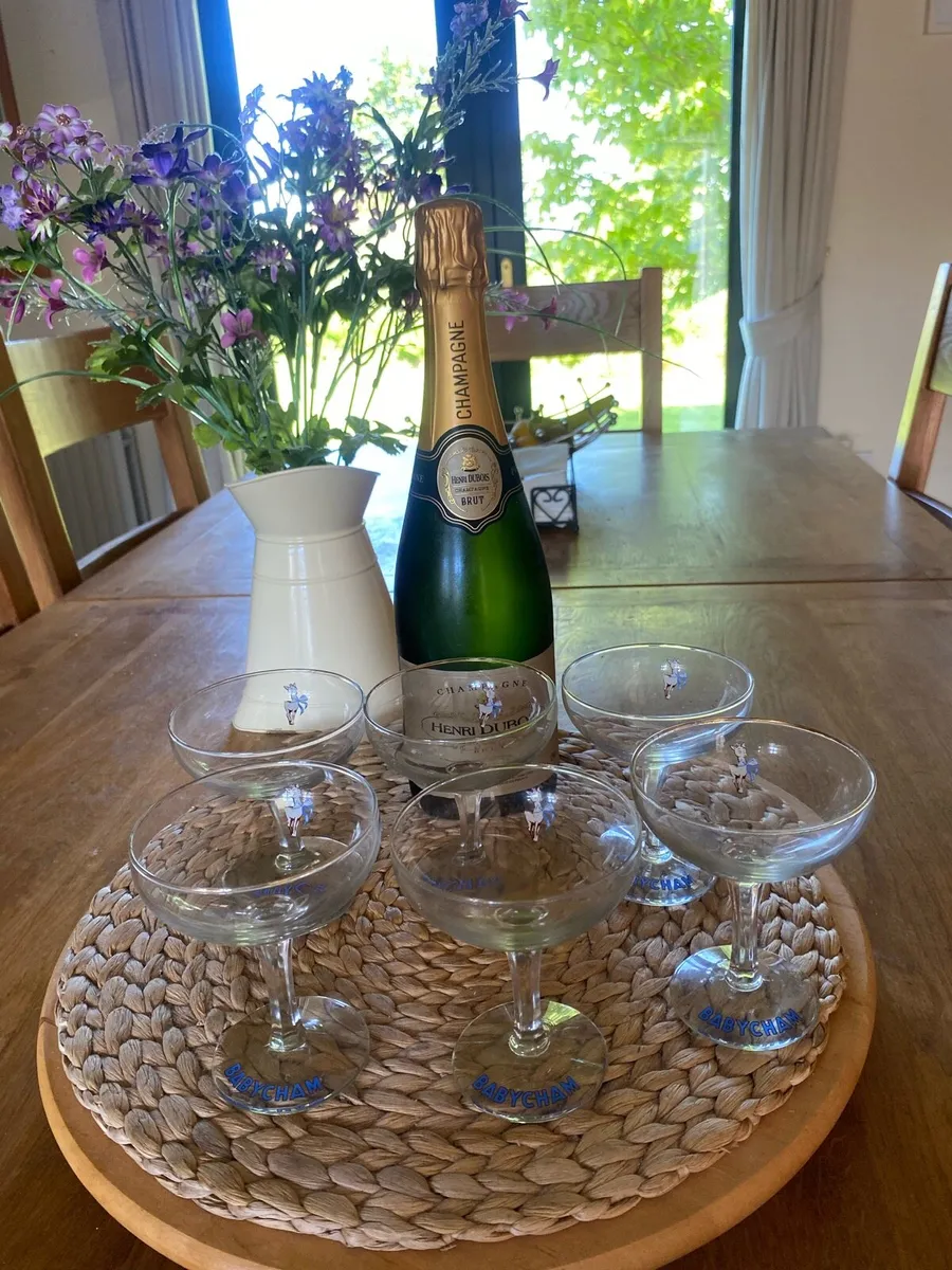 6 Retro / Vintage Babycham Glasses - Image 1