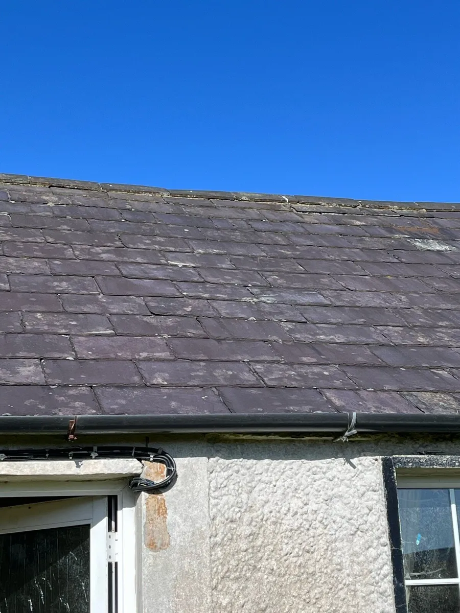 Reclaim blue Bangor slate - Image 2