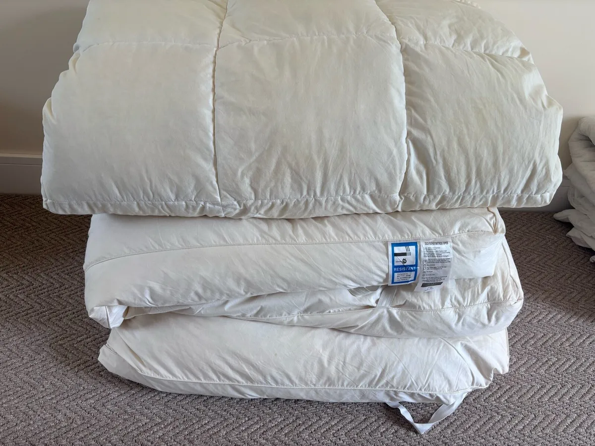 Variety of Bedding - Image 3