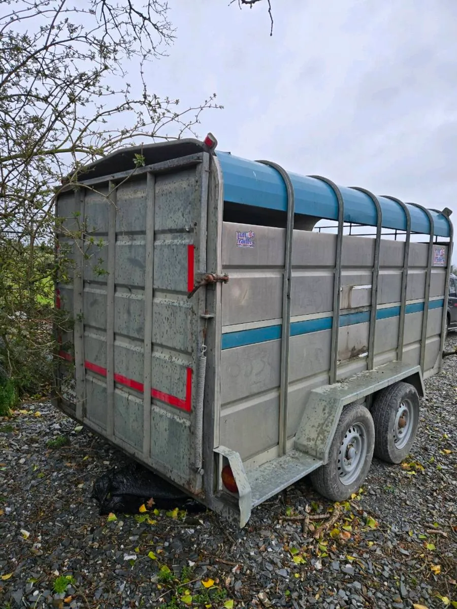 Livestock trailer - Image 2