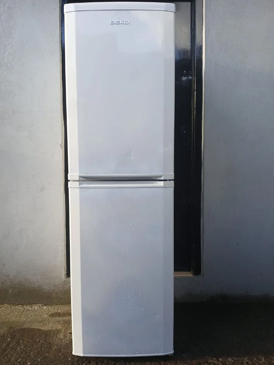 FRIDGE AND FREEZER - Image 1