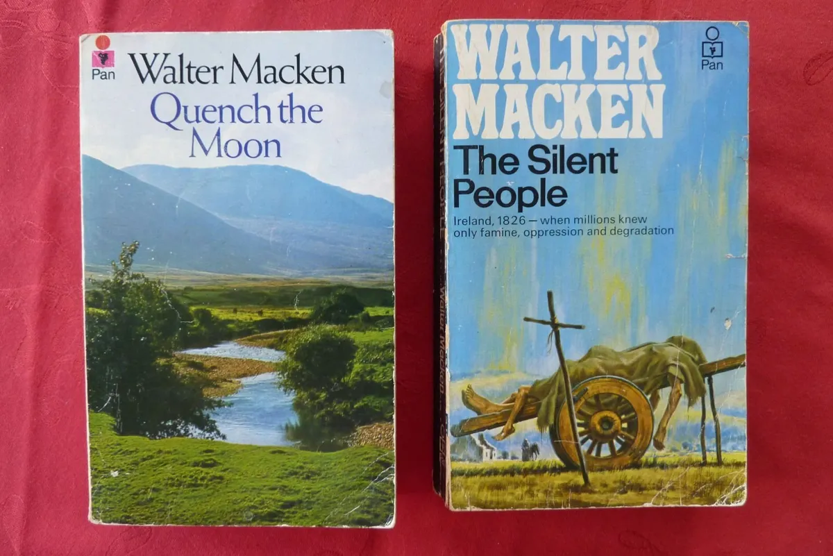 Books by Irish writers - Image 1