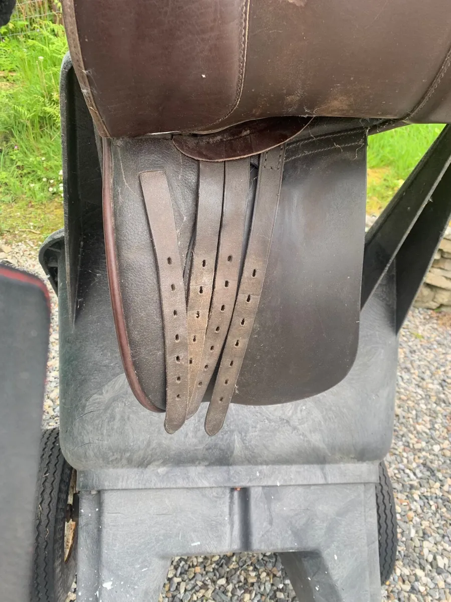 Ideal Ramsey 18 inch wide fit saddle - Image 4