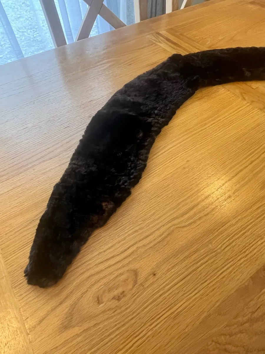 1920s Fur Collar Wrap - Image 3