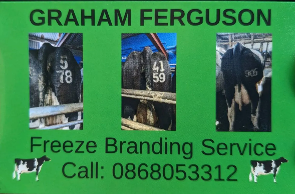 Freeze Branding Service - Image 1