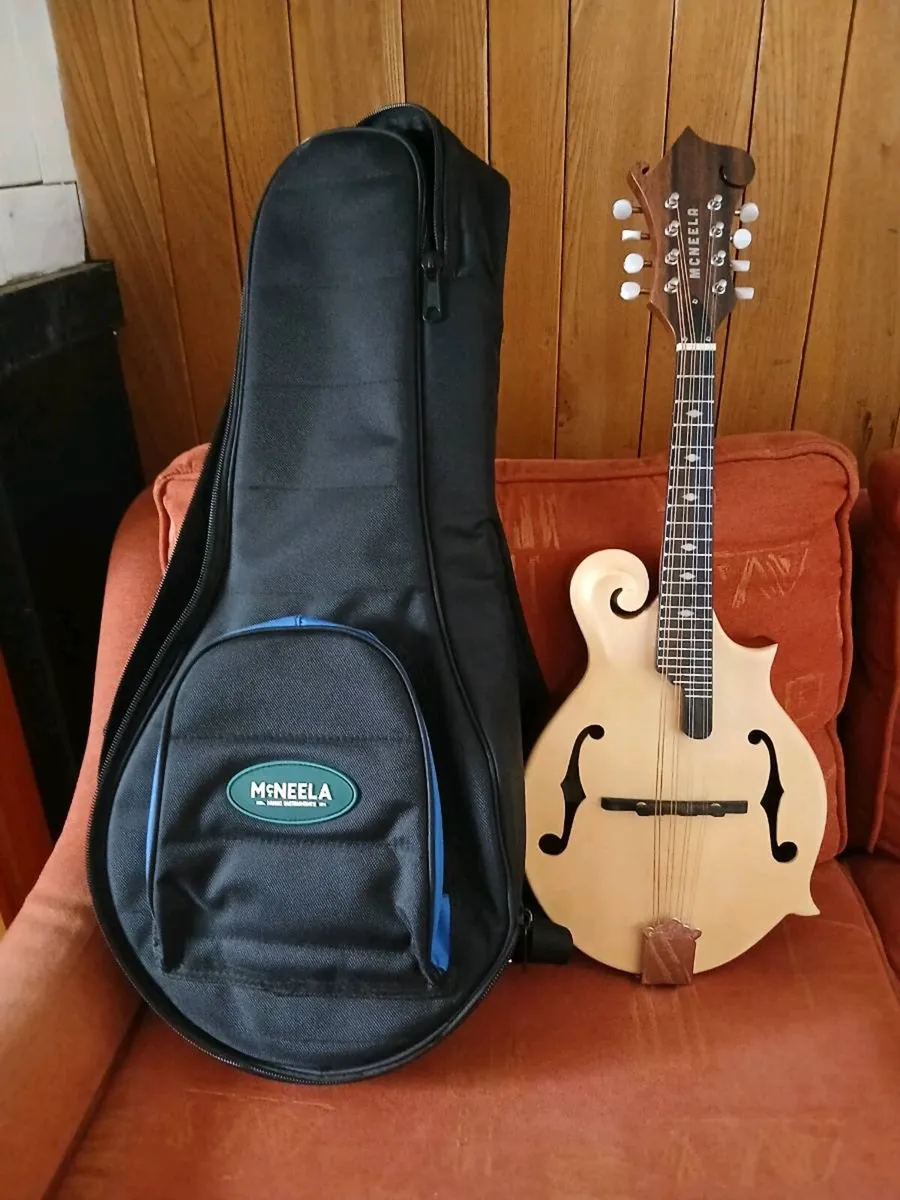 Mandolin - Image 3