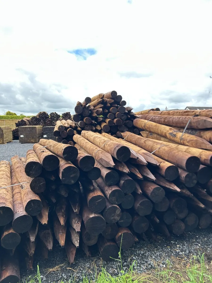 Pressure Treated Fencing Posts & Strainers - Image 1