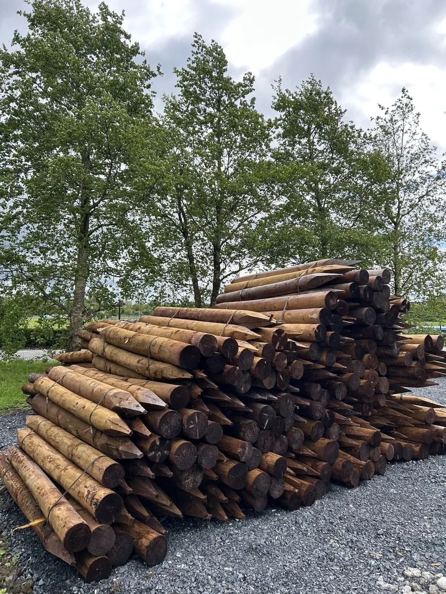 Pressure Treated Fencing Posts & Strainers - Image 3