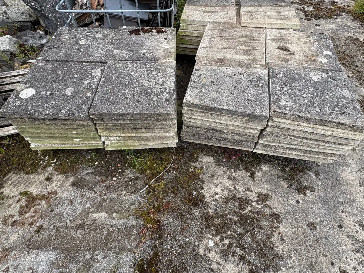Paving Slabs - Image 1