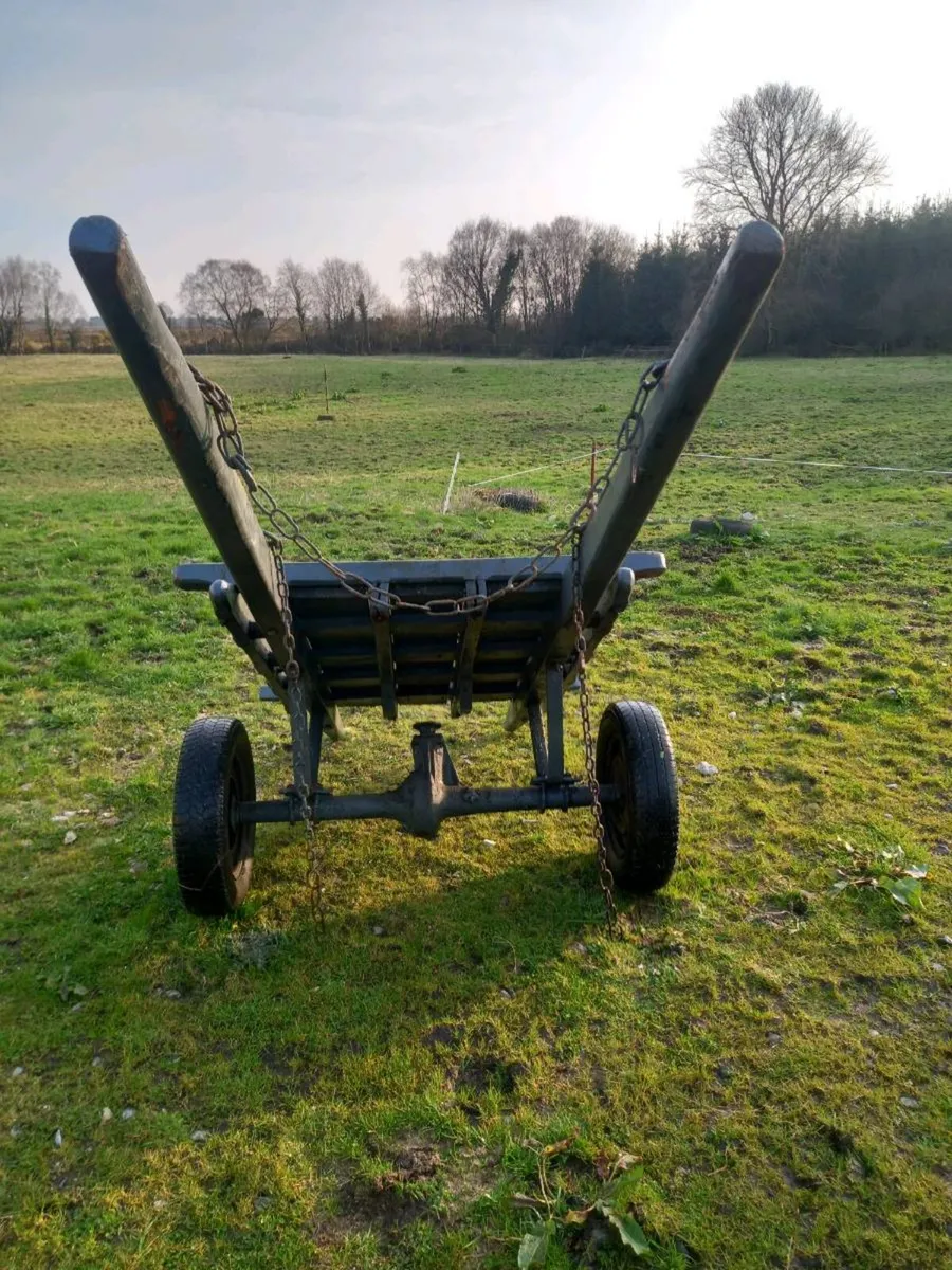 Donkey Cart - Image 2