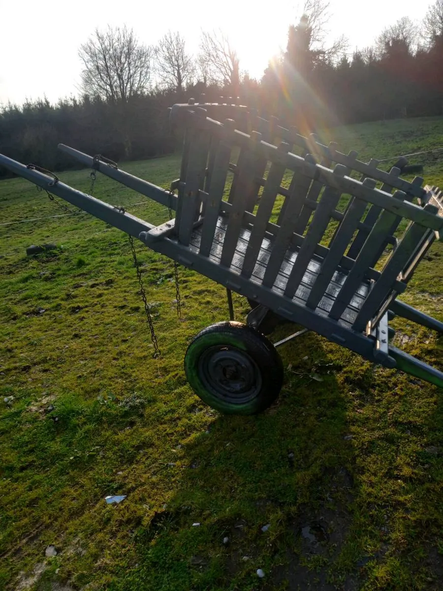 Donkey Cart Vintage - Image 3