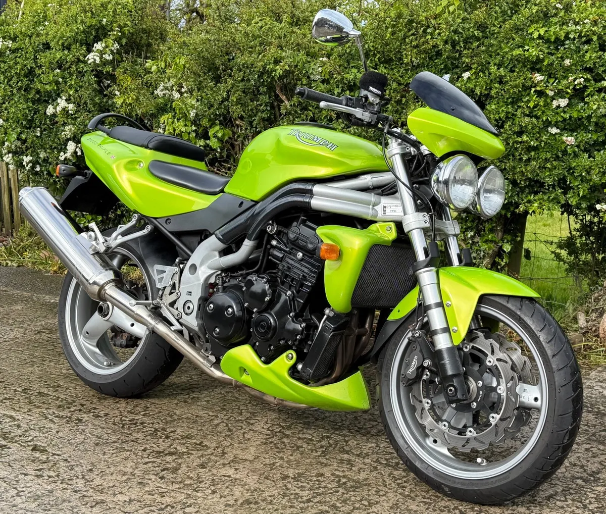 Triumph Speed Triple 2003 - Image 1