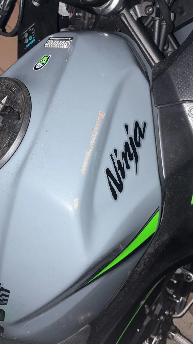 Kawasaki Other 2019 - Image 2