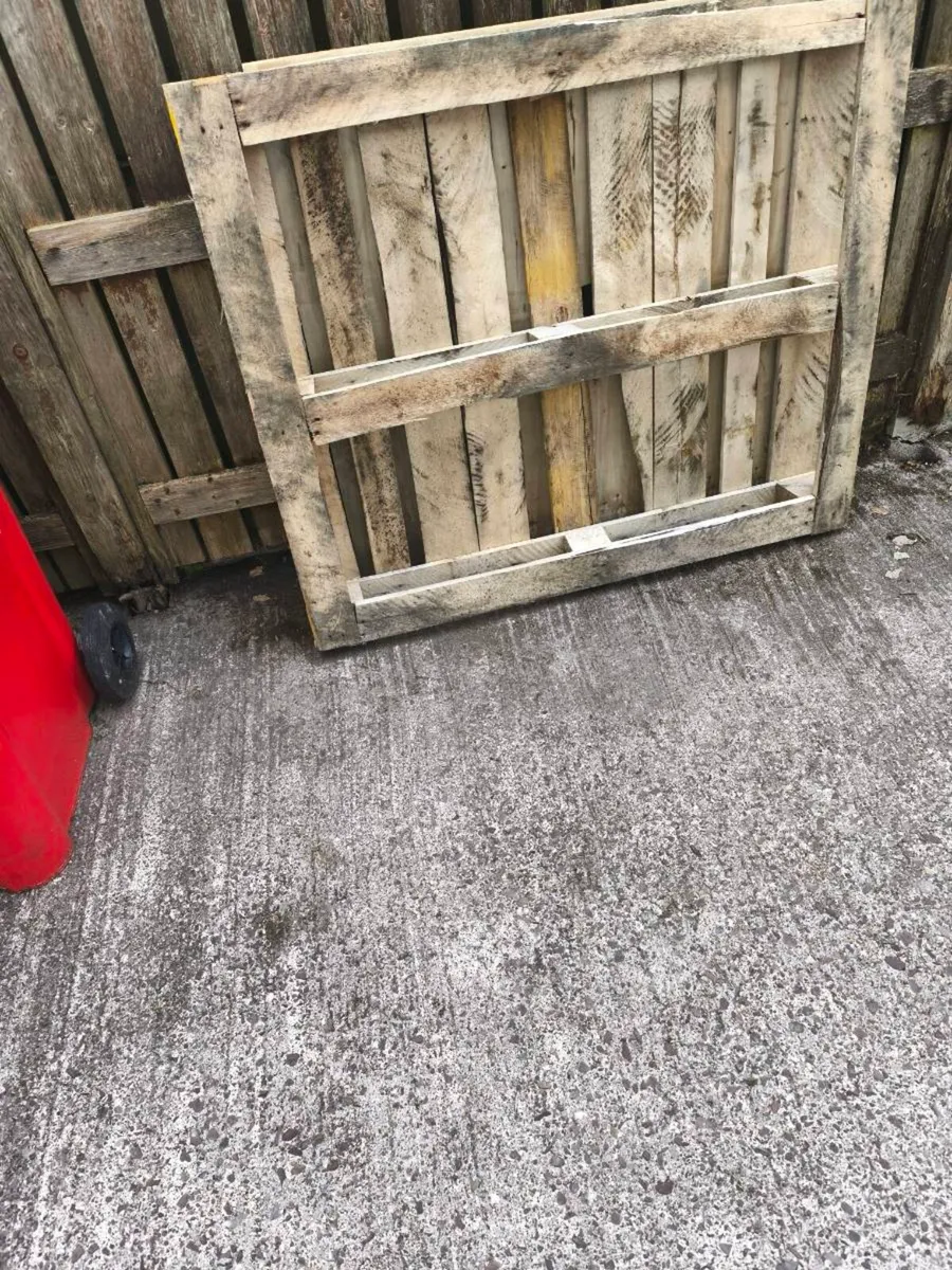 Wood - Image 1