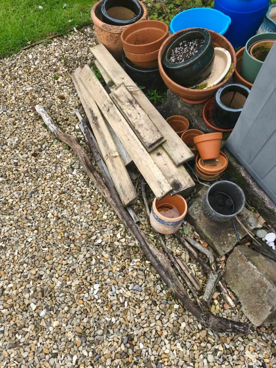 Wood - Image 2