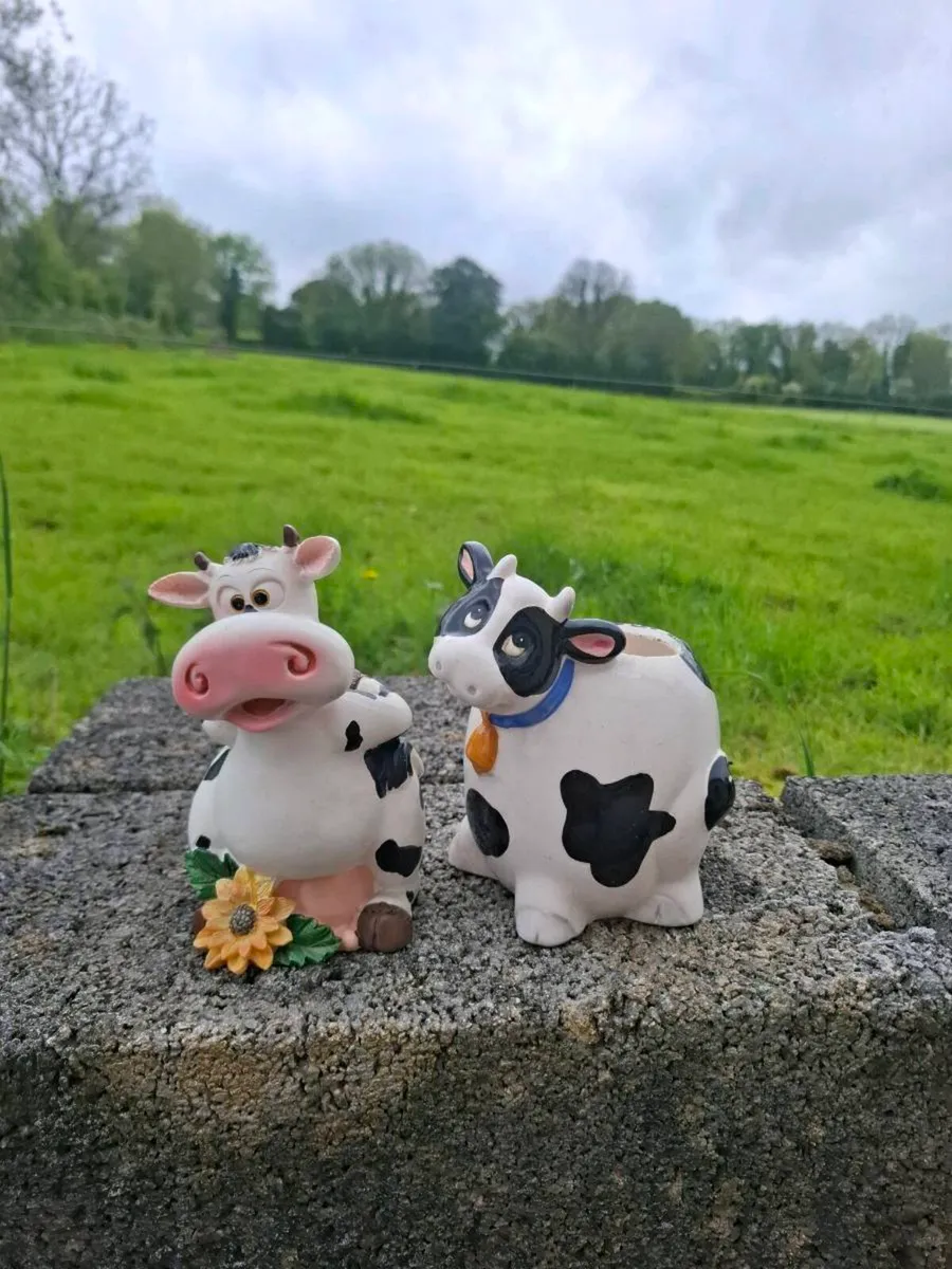 2 cow storage decor - Image 1