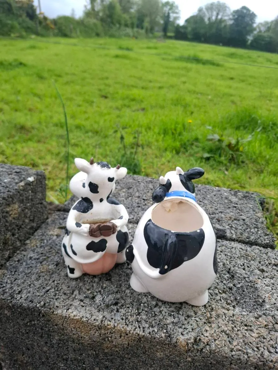 2 cow storage decor - Image 2