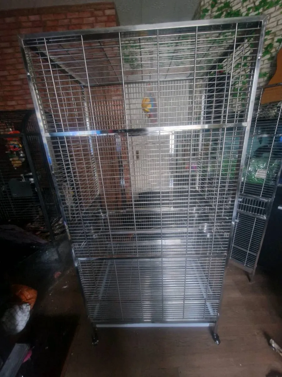 Cages for parrots - Image 4