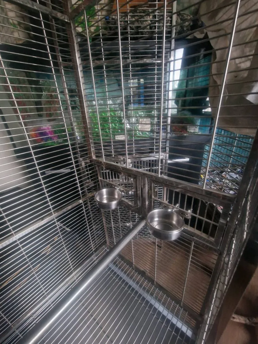 Cages for parrots - Image 3