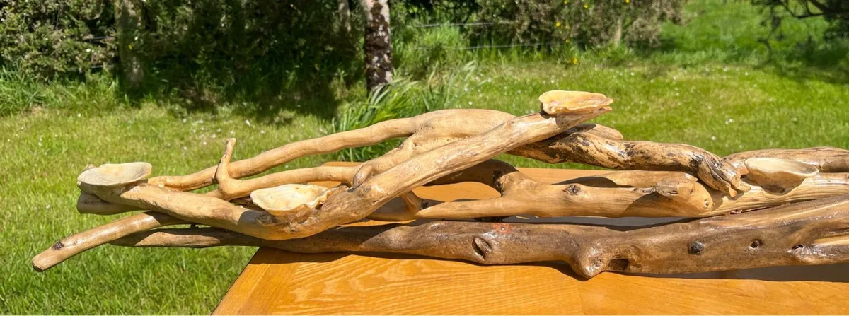 Handcrafted driftwood centrepiece - Image 1