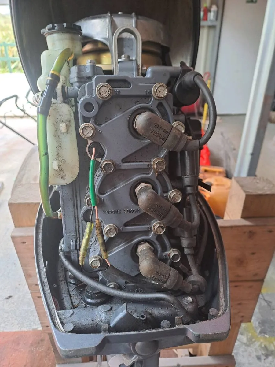 Yamaha 30 hp & 5 hp - Image 2