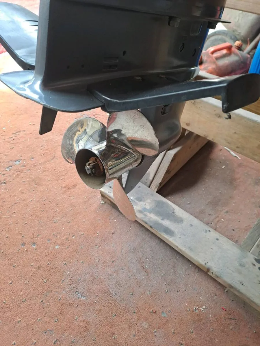 Yamaha 30 hp & 5 hp - Image 3