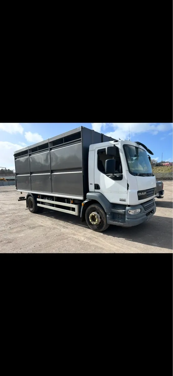 Daf cattle or Horses lorry - Image 1