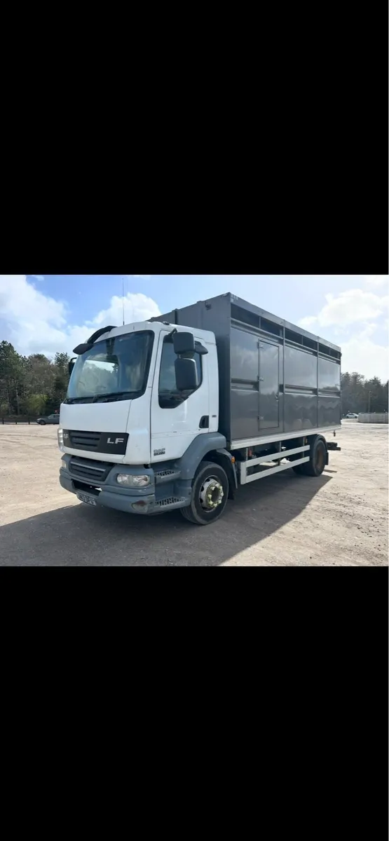 Daf cattle or Horses lorry - Image 2