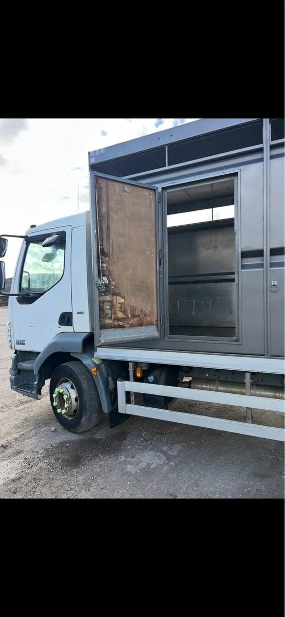 Daf cattle or Horses lorry - Image 3
