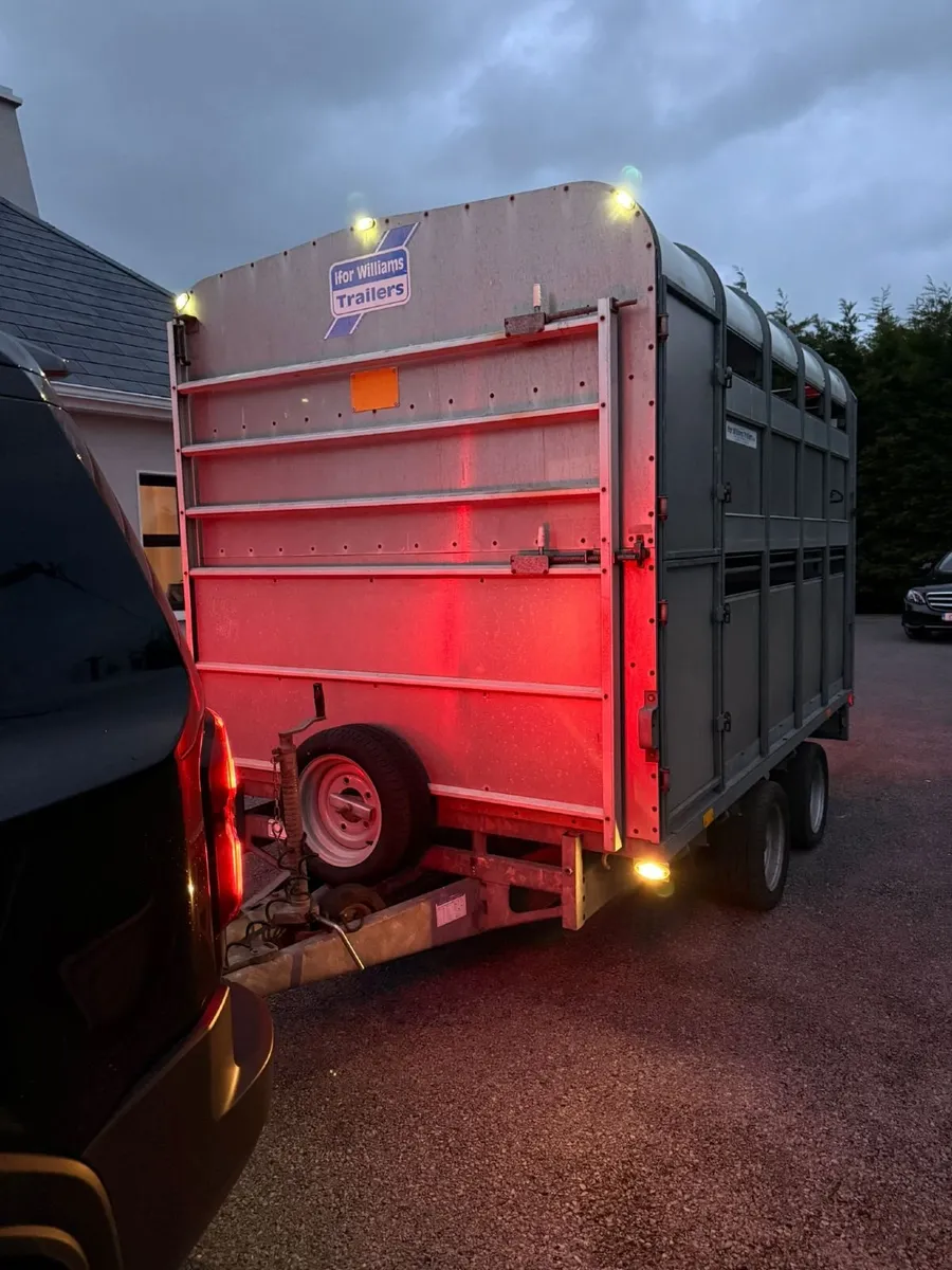 Immaculate 10Ft X 6Ft6 Trailer - Image 1