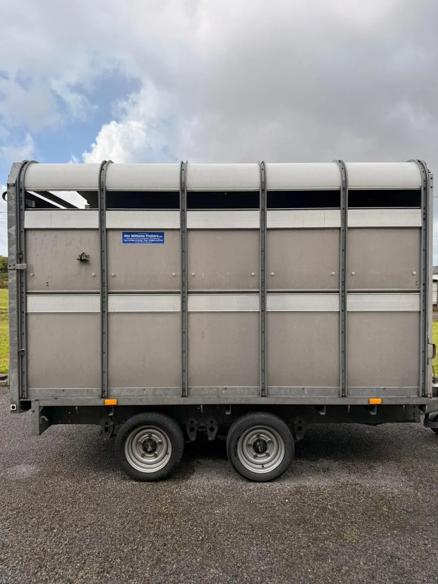 Immaculate 10Ft X 6Ft6 Trailer - Image 2
