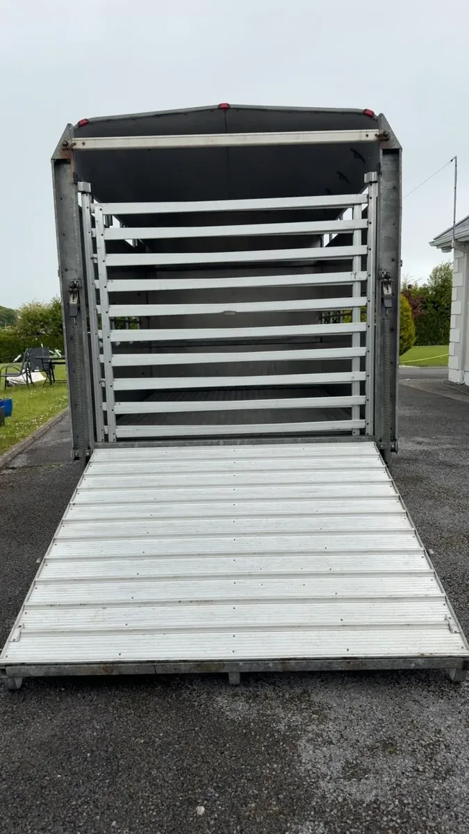 Immaculate 10Ft X 6Ft6 Trailer - Image 4