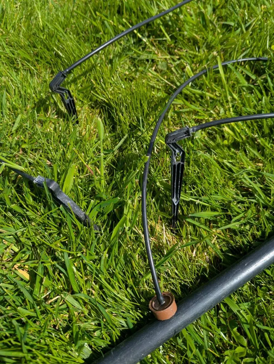 Commercial Irrigation Watering Drip Systems - Image 4