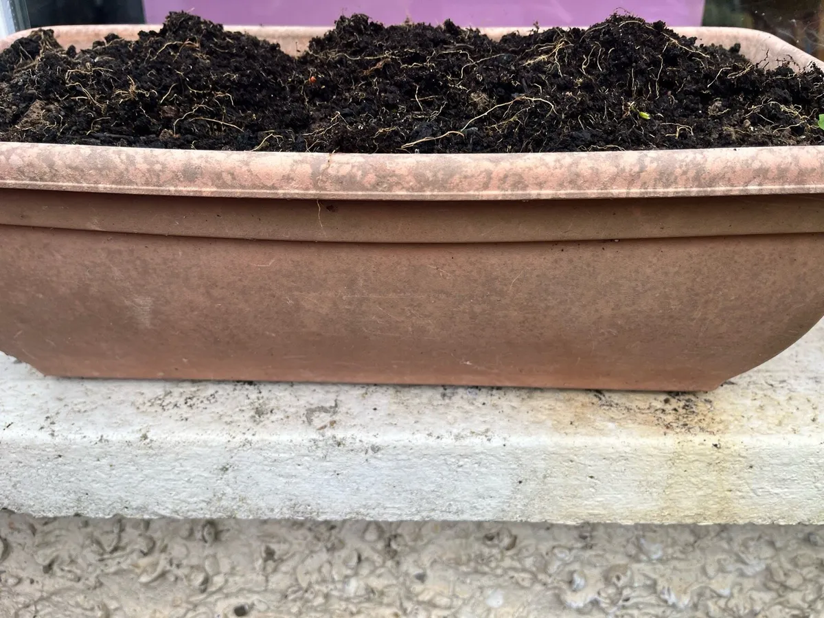 Two pots with soil - Image 4