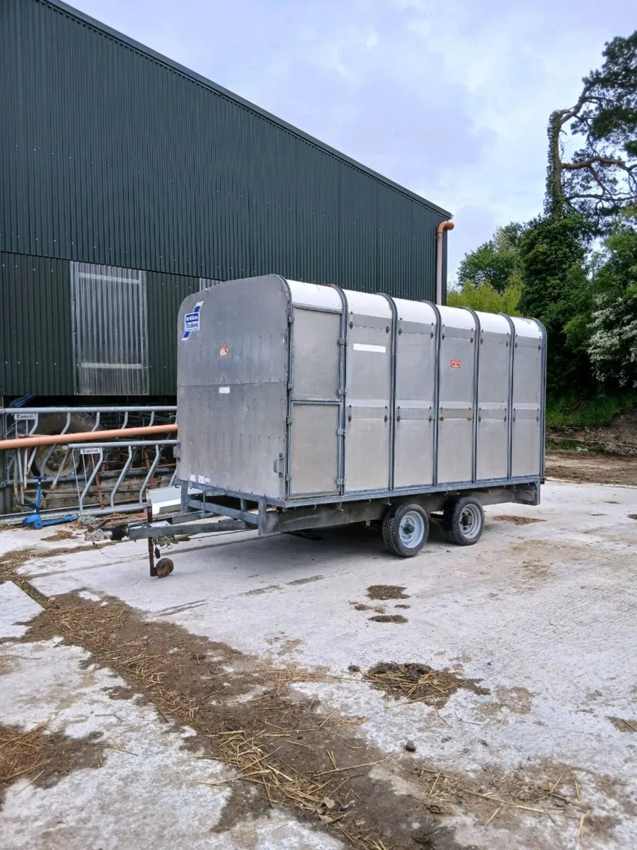 Ifor Williams cow box 12ft x 6ft 6 - Image 1