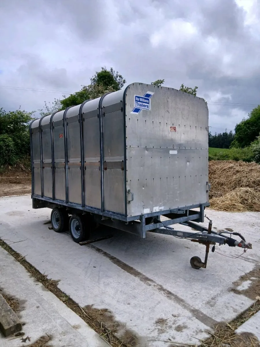 Ifor Williams cow box 12ft x 6ft 6 - Image 2