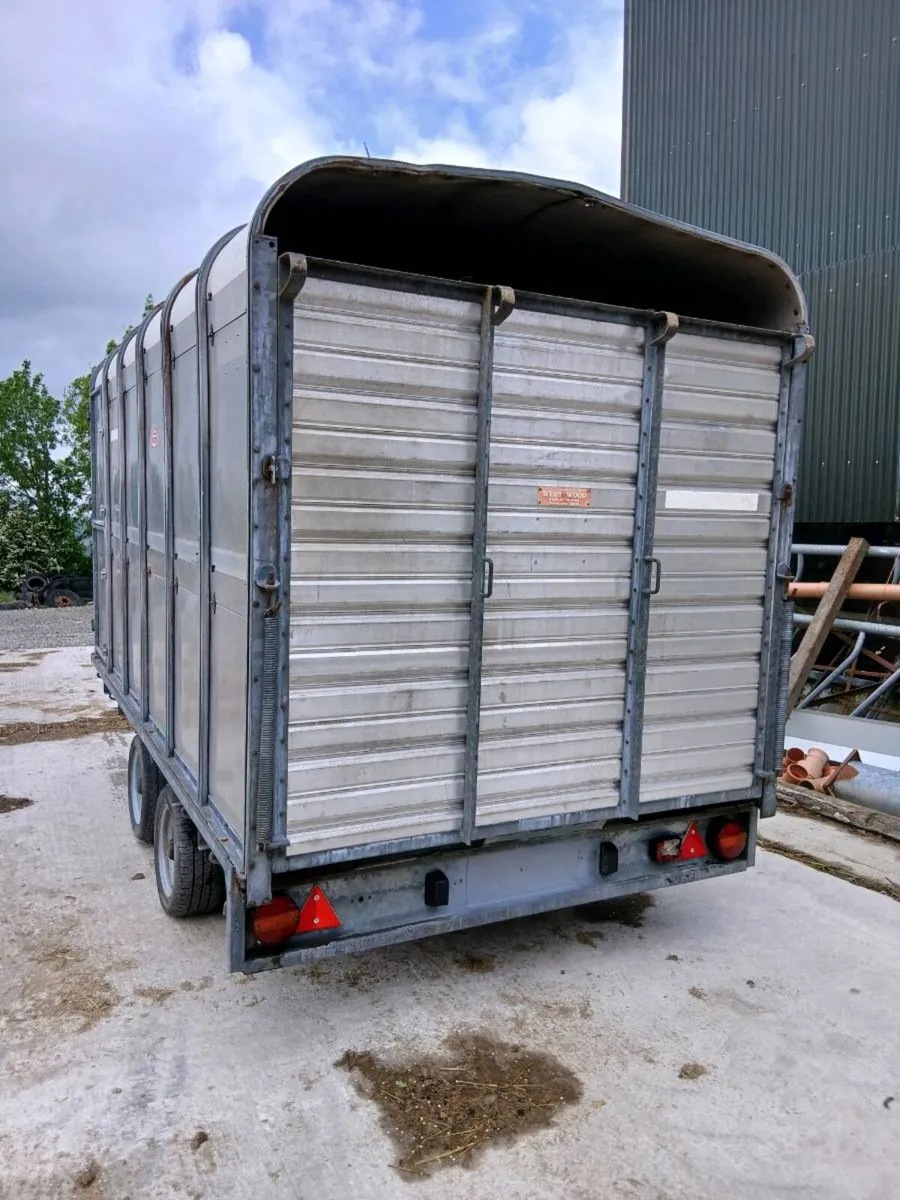 Ifor Williams cow box 12ft x 6ft 6 - Image 3