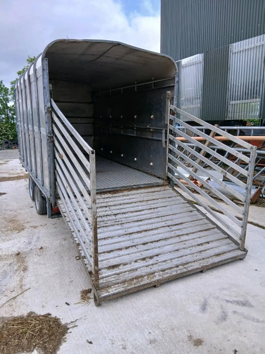 Ifor Williams cow box 12ft x 6ft 6 - Image 4